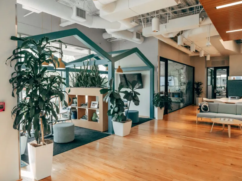 Bringing the Outside In: How Biophilic Flooring Is Reshaping the Modern American Workplace